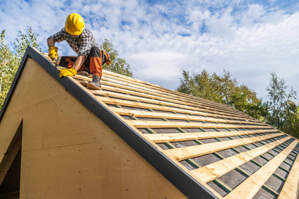 Best Roof Gutter Cleaning  in Eagle, CO